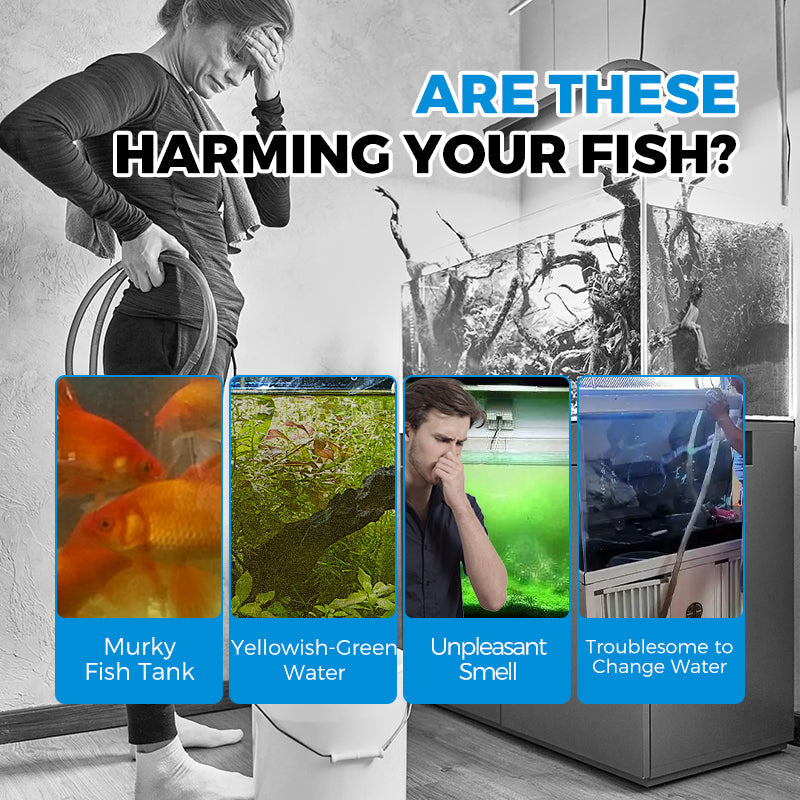 MiaHome™ 5-in-1 Automatic Aquarium Filter System
