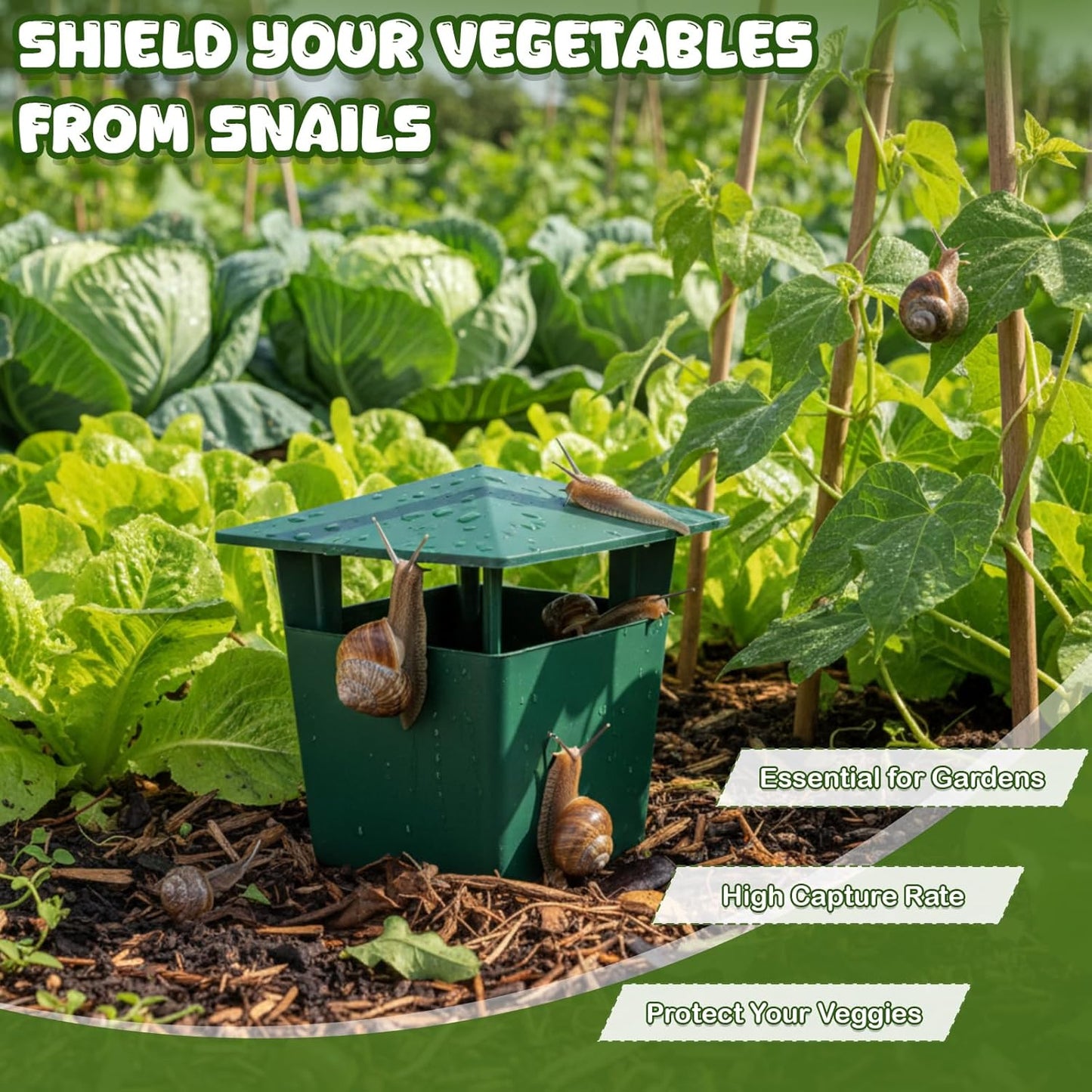 MiaHome™ 🐌Beer Trap for Snails and Slugs — Reusable Plastic Snail Catcher Container