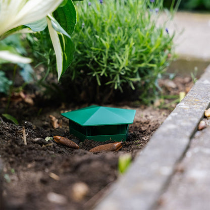 MiaHome™ 🐌Beer Trap for Snails and Slugs — Reusable Plastic Snail Catcher Container