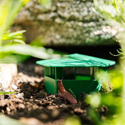 MiaHome™ 🐌Beer Trap for Snails and Slugs — Reusable Plastic Snail Catcher Container