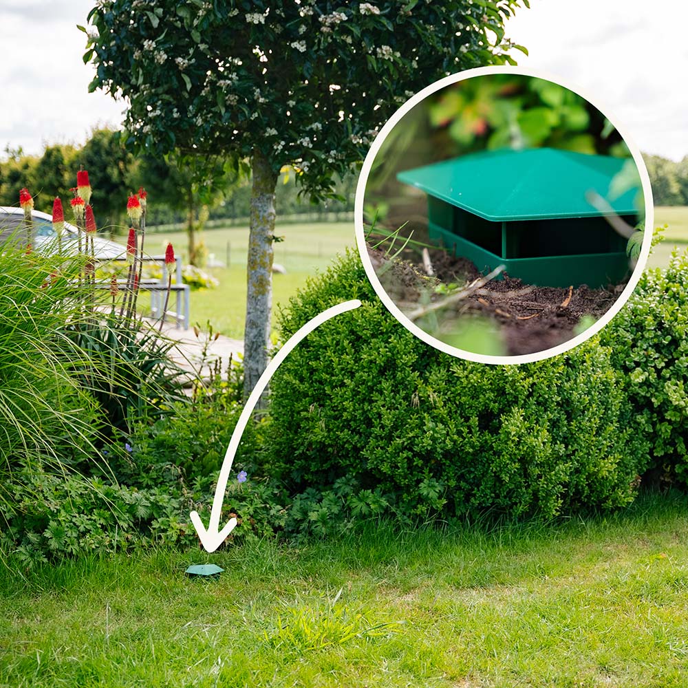 MiaHome™ 🐌Beer Trap for Snails and Slugs — Reusable Plastic Snail Catcher Container
