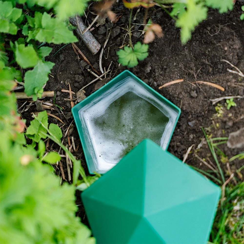 MiaHome™ 🐌Beer Trap for Snails and Slugs — Reusable Plastic Snail Catcher Container