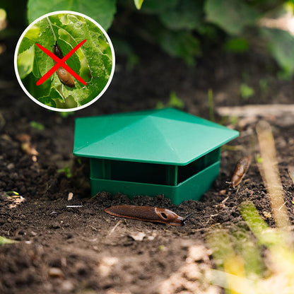 MiaHome™ 🐌Beer Trap for Snails and Slugs — Reusable Plastic Snail Catcher Container