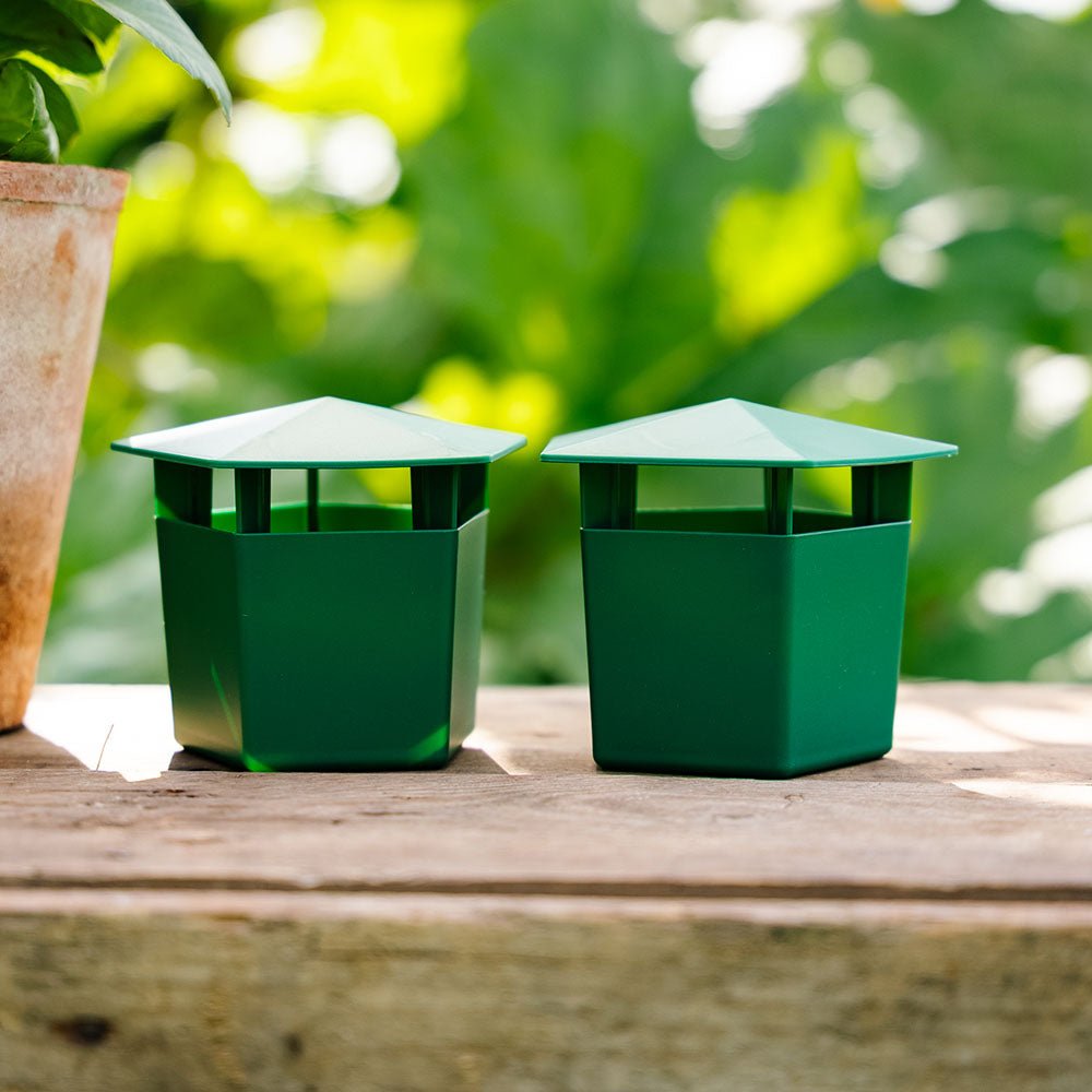MiaHome™ 🐌Beer Trap for Snails and Slugs — Reusable Plastic Snail Catcher Container